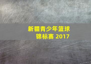 新疆青少年篮球锦标赛 2017